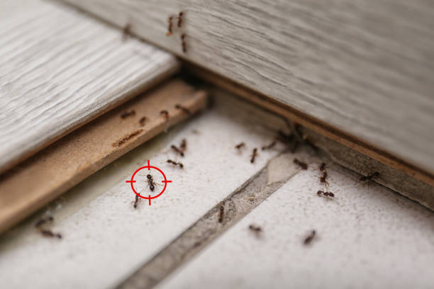 Best Wildlife Control Services  in , SC