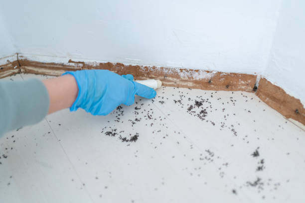 Best Commercial Pest Control Services  in , SC
