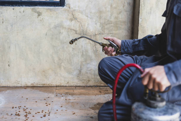 Best Pest Removal Services  in , SC